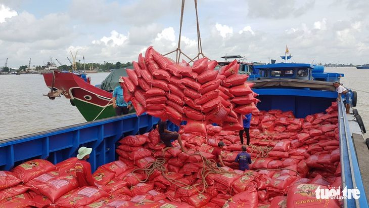Ấn Độ chính thức cấm xuất khẩu, giá gạo Việt liên tục tăng - Ảnh 1. Giá gạo xuất khẩu của Việt Nam ngày 20-7 đang ở mức 533 USD/tấn - Ảnh: C.QUỐC