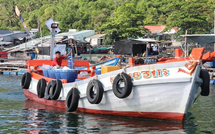 Tàu cá ở Kiên Giang ra khơi đánh bắt - Ảnh: C.CÔNG Tàu cá ở Kiên Giang ra khơi đánh bắt - Ảnh: C.CÔNG
