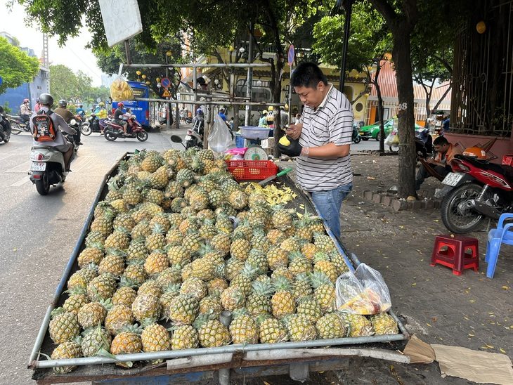 Ăn dứa để phòng chống bệnh tim mạch, ung thư, nhưng ai không nên ăn?- Ảnh 1. Dứa được bày bán nhiều tại đường Phan Xích Long, Q.Phú Nhuận, TP.HCM - Ảnh: THÙY DƯƠNG
