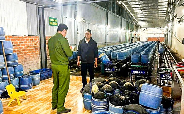 4 cơ sở dùng chất cấm có thể gây chết người để sản xuất giá đỗ - Ảnh 1. Khởi tố 4 chủ cơ sở dùng 'nước kẹo' sản xuất giá đỗ - Ảnh 1.